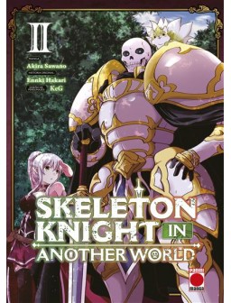Skeleton knight in another...