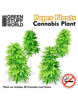 Plantas de Papel - Cannabis