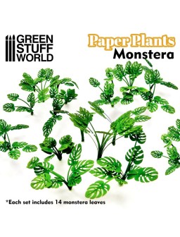Plantas de Papel - Monstera