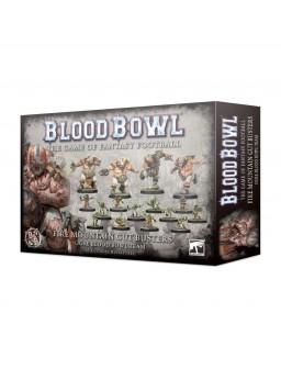 Ogre Blood Bowl Team 202-02